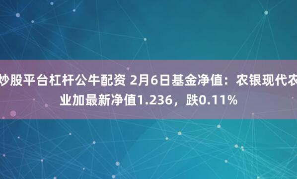   炒股平台杠杆公牛配资 2月6日基金净值：农银现代农业加最新净值1.236，跌0.11%