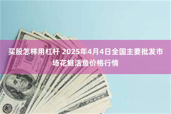 买股怎样用杠杆 2025年4月4日全国主要批发市场花鲢活鱼价格行情