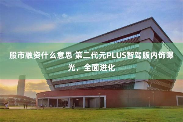 股市融资什么意思 第二代元PLUS智驾版内饰曝光，全面进化