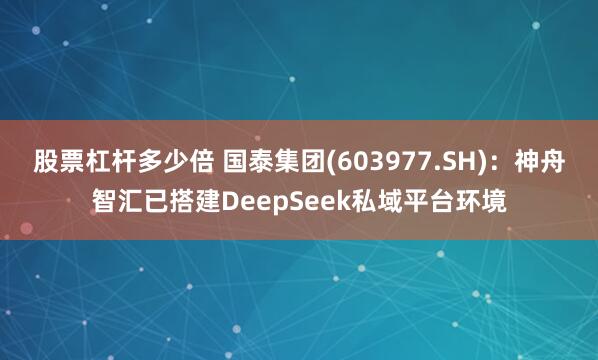 股票杠杆多少倍 国泰集团(603977.SH)：神舟智汇已搭建DeepSeek私域平台环境