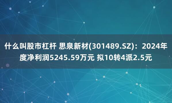 什么叫股市杠杆 思泉新材(301489.SZ)：2024年度净利润5245.59万元 拟10转4派2.5元