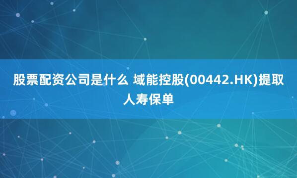 股票配资公司是什么 域能控股(00442.HK)提取人寿保单