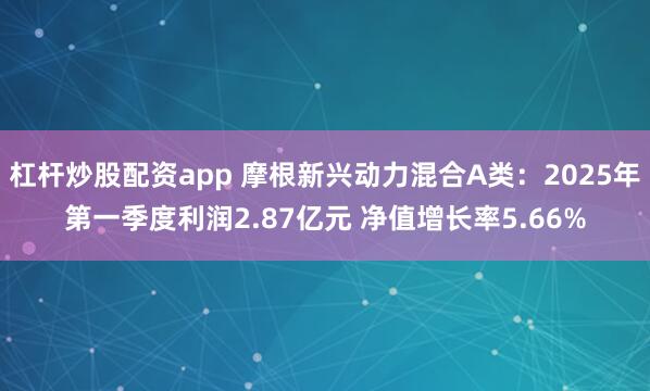 杠杆炒股配资app 摩根新兴动力混合A类：2025年第一季度利润2.87亿元 净值增长率5.66%