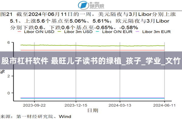 股市杠杆软件 最旺儿子读书的绿植_孩子_学业_文竹