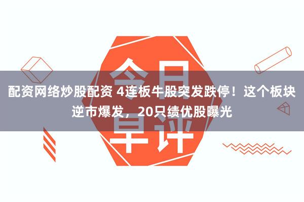 配资网络炒股配资 4连板牛股突发跌停！这个板块逆市爆发，20只绩优股曝光
