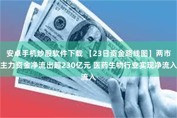 安卓手机炒股软件下载 【23日资金路线图】两市主力资金净流出超230亿元 医药生物行业实现净流入