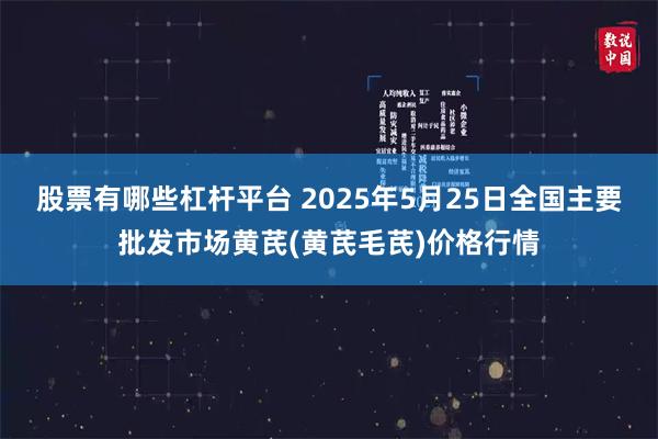 股票有哪些杠杆平台 2025年5月25日全国主要批发市场黄芪(黄芪毛芪)价格行情
