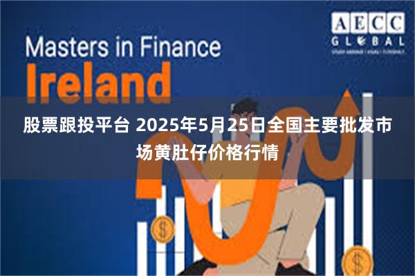 股票跟投平台 2025年5月25日全国主要批发市场黄肚仔价格行情