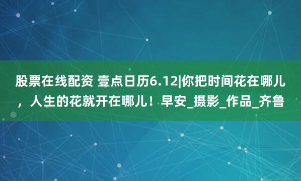 股票在线配资 壹点日历6.12|你把时间花在哪儿，人生的花就开在哪儿！早安_摄影_作品_齐鲁